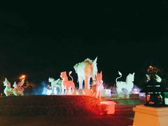 -清迈夜间动物园