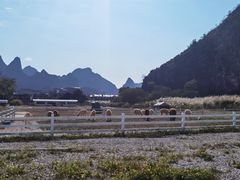 -洞庭渔人(沙湾店)
