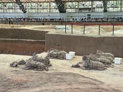 -秦始皇帝陵博物院(兵马俑)