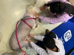 -宠颐生动物医院·心脏科·保险定点(锦阳分院)