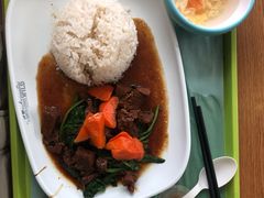 -上海野生动物园老虎餐厅