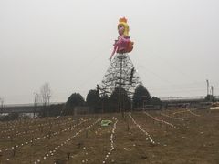 -秀丽东方