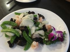 -云中小雅