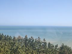 -摩天岭风景区