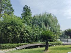 -东湖景区