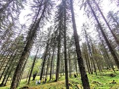 -硗碛藏寨·神木垒景区