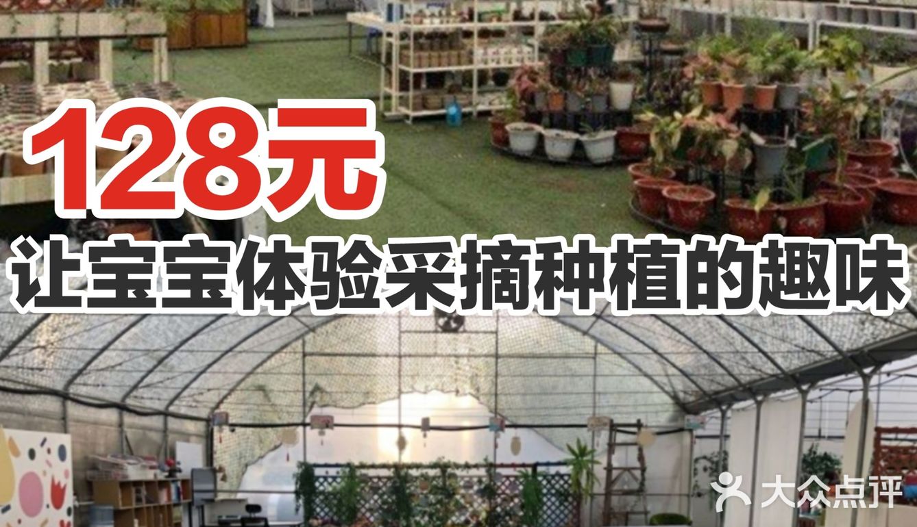128元让宝宝体验采摘种植的趣味