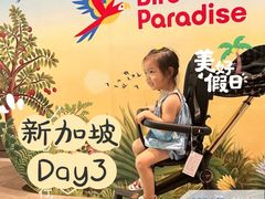 -新加坡飞禽公园