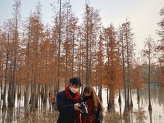 -白鹭湾湿地公园