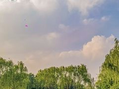-北坞公园