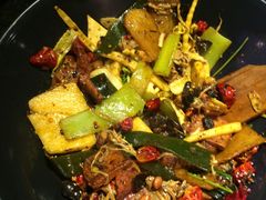 -食乐佳麻辣香锅(森林摩尔商业街区店)
