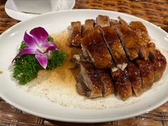 -老广酒楼(樱花店)