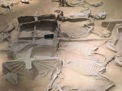 -洛阳周王城天子驾六博物馆