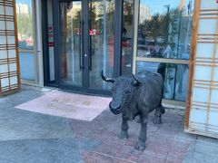 -九田家黑牛烤肉料理(珠江摩尔店)