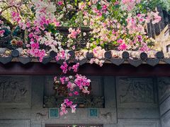 -深圳国际园林花卉博览园