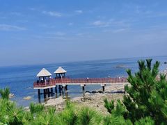 -养马岛旅游度假区