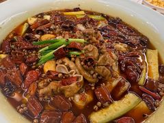 -沸腾鱼乡(知春路分店)