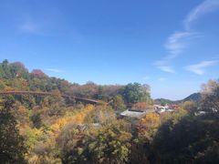 -少华山国家森林公园