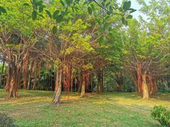 -白沙门生态公园