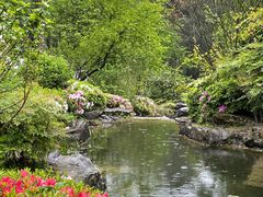 -铁山坪森林公园