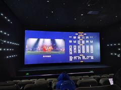 -深影国际影城(学院南路店CGS中国巨幕店)