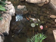 -森谷美食公园(杨行店)