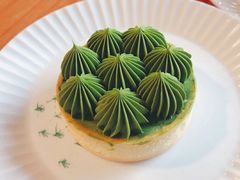 抹茶挞-猫里有甜