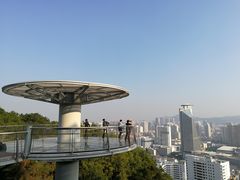 -仙岳公园
