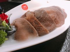 脆毛肚-九鼎轩火锅大排挡