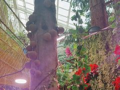-正佳雨林生态植物园