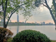 -紫金山山顶公园