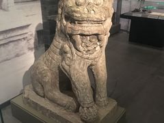-烟台市博物馆