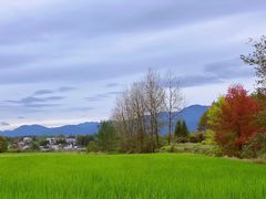 -黟县屏山村