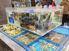 -双合园·海鲜水饺青岛菜(上清路店)