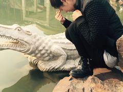 -苏州海洋馆