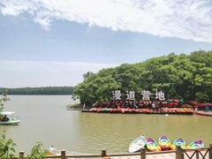 -上海海湾国家森林公园