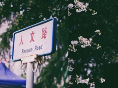 -武汉大学-樱园