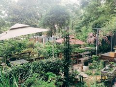 -谷咖啡·鲜花绿植花园餐厅