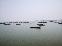 -鄱阳湖国家湿地公园