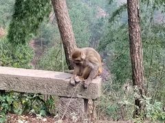 -重庆雨台山风景区