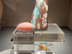 -中国地质博物馆
