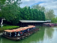 -溱湖国家湿地公园