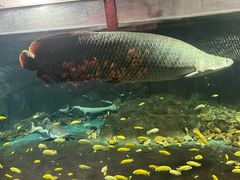 -嘉兴海底世界