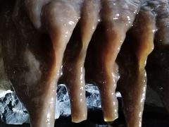 -兴隆溶洞