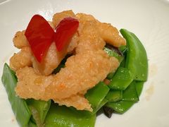 -觅唐MITONG(鸟巢店)