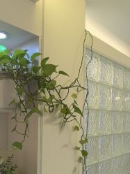 -宛若新生