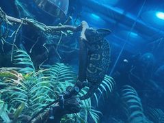 -上海大自然野生昆虫馆(东方明珠·爬宠昆虫探索中心)