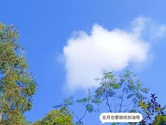 -莲花山公园