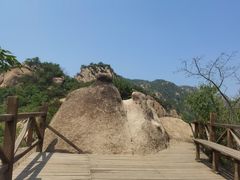 -大岭沟猕猴桃谷风景区