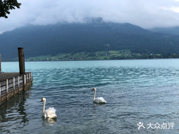 沃尔夫冈湖图片